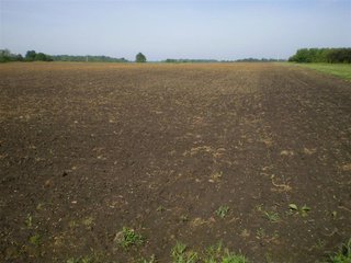 46 Acres (30 tillable).  1600' of Frontage along I-69.  (Average daily volume of 35,780).  Additional frontage on CR 1000 W and CR 650 N.  Excellent billboard/cell tower possibilities.  Will divide. - 46 Acres Quality Farmland